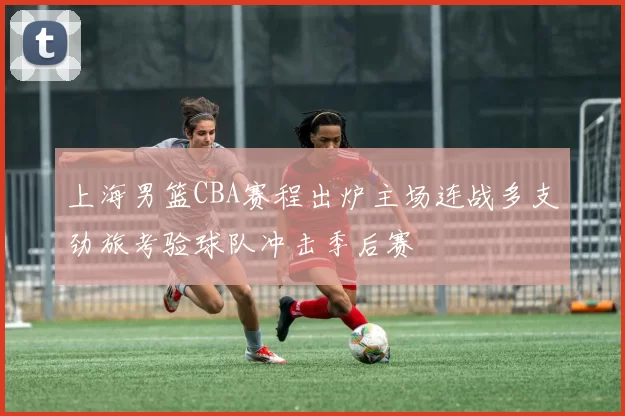 上海男篮CBA赛程出炉主场连战多支劲旅考验球队冲击季后赛