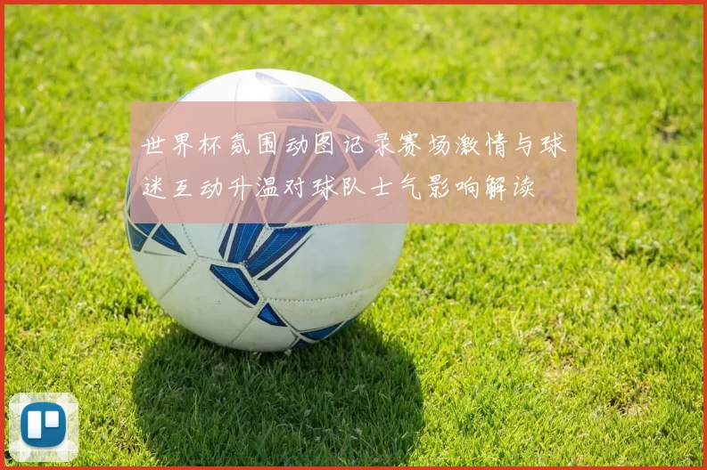 世界杯氛围动图记录赛场激情与球迷互动升温对球队士气影响解读