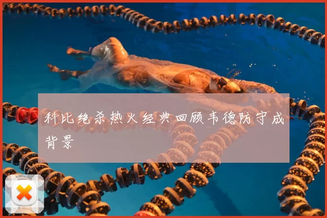科比绝杀热火经典回顾韦德防守成背景