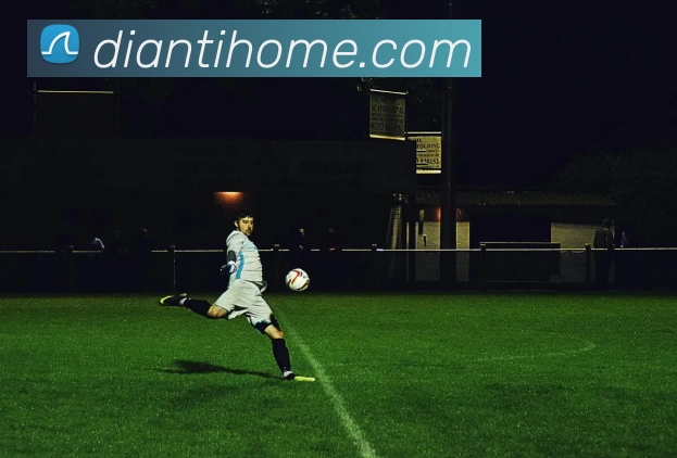 完美体育·(中国)官方网站 - WM SPORTS品牌故事