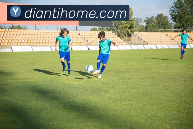 完美体育·(中国)官方网站 - WM SPORTS服务体系